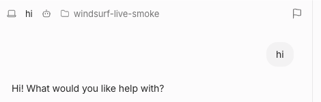 English Devin Local conversation after sending hi and receiving a model reply