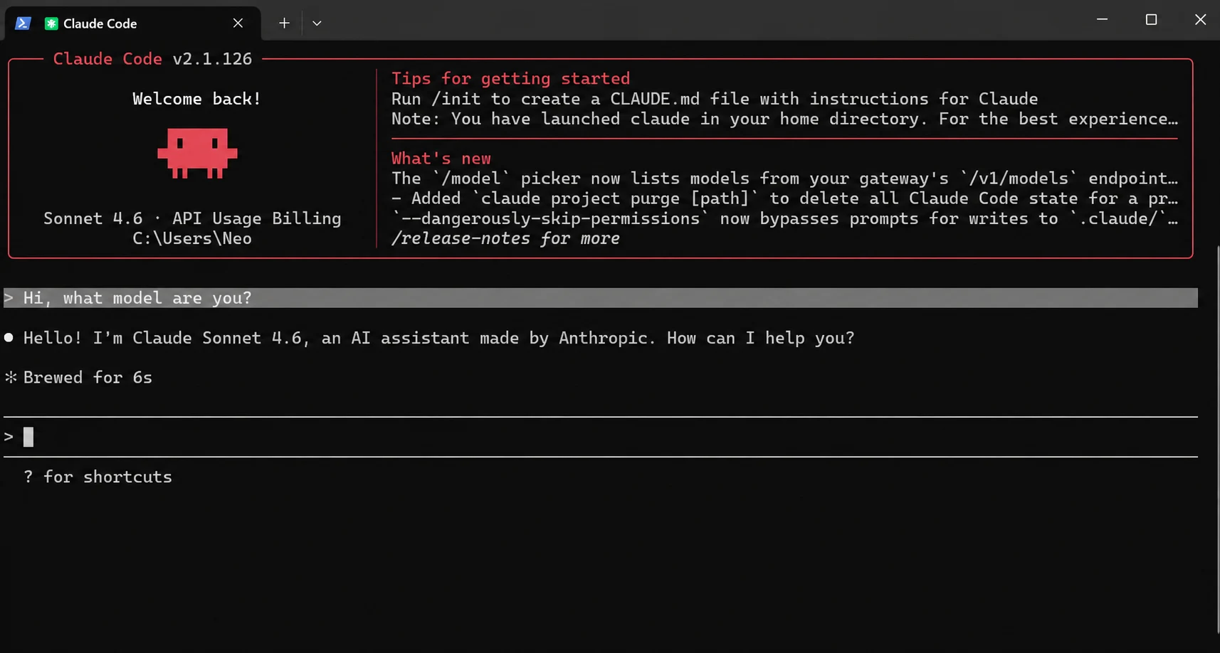 Claude Code setup screenshot