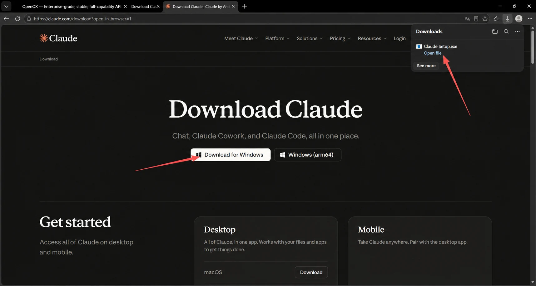 Claude desktop setup screenshot