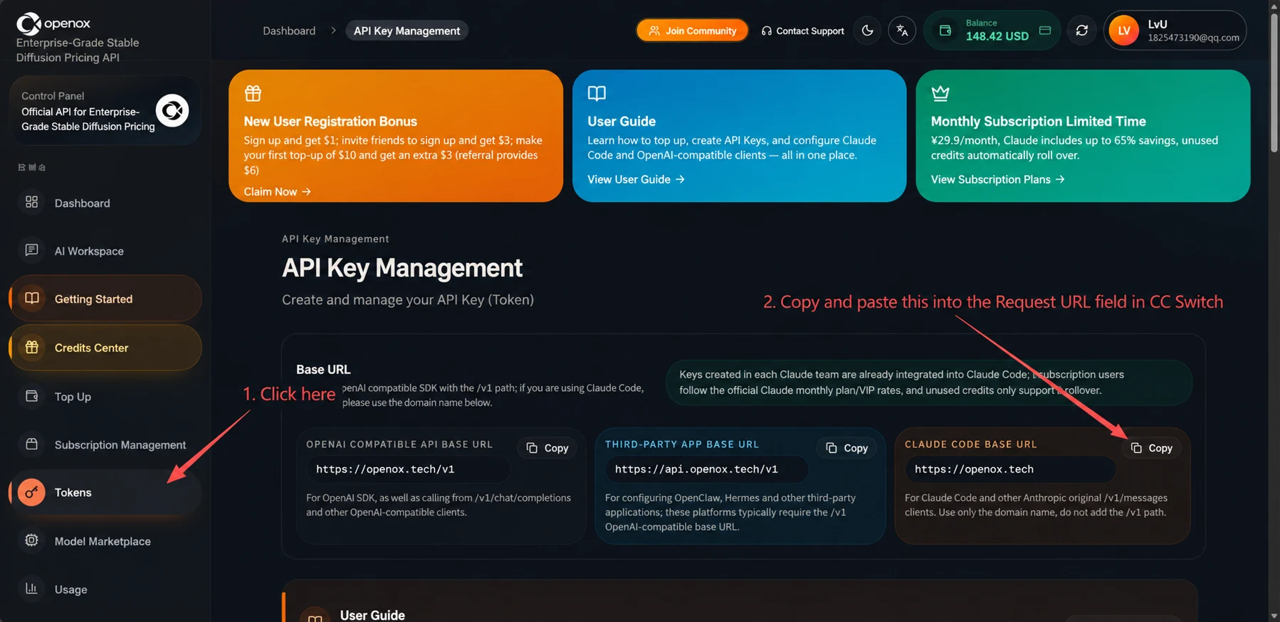 Claude desktop setup screenshot