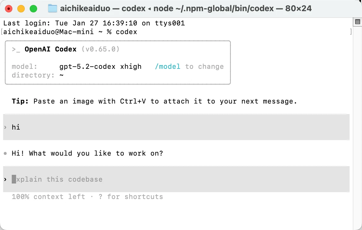 Codex CLI setup screenshot